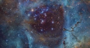 تصویر روز ناسا: رزهایی که قرمز نیستند