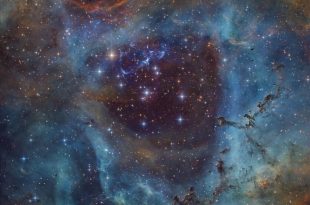 تصویر روز ناسا: رزهایی که قرمز نیستند