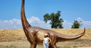 مقایسه جثه انواع دایناسور با انسان + ویدیو