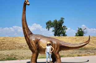 مقایسه جثه انواع دایناسور با انسان + ویدیو