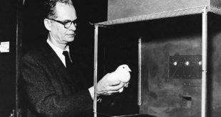 آزمایش برای بررسی شرطی شدن کنشگر