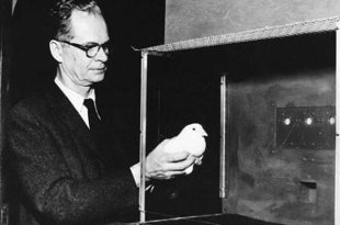 آزمایش برای بررسی شرطی شدن کنشگر