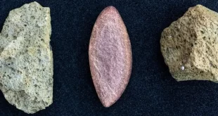 باستان‌شناسان قدیمی‌ترین شواهد حضور انسان در اروپا را کشف کردند