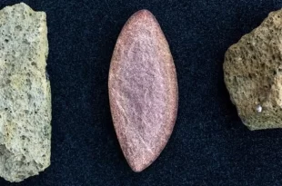 باستان‌شناسان قدیمی‌ترین شواهد حضور انسان در اروپا را کشف کردند