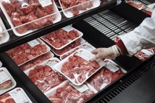 توزیع گوشت گرم وارداتی از این پس چگونه است؟