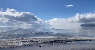 واکنش سخنگوی صنعت آب به بارش های اخیر