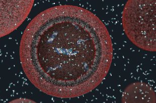 محققان به کشف راز شکل‌گیری اولین سلول‌ها در زمین نزدیک‌تر شدند