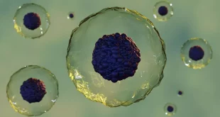 این تیم با بهینه‌سازی یک تکنیک تصویربرداری پرکاربرد به نام «میکروسکوپ الکترونی عبوری»، رقص پر جنب و جوش «نانودیسک» پروتئین غشایی را در مایع به تصویر کشیدند.