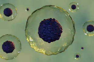 این تیم با بهینه‌سازی یک تکنیک تصویربرداری پرکاربرد به نام «میکروسکوپ الکترونی عبوری»، رقص پر جنب و جوش «نانودیسک» پروتئین غشایی را در مایع به تصویر کشیدند.