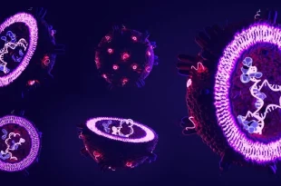 وزیکول های فراسلولی شیر گاو