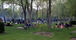 سیزده‌ بدر سنت ایرانیان باستان/ فلسفه‌ی سبزه گره زدن