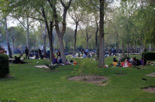 سیزده‌ بدر سنت ایرانیان باستان/ فلسفه‌ی سبزه گره زدن