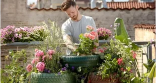 intensity-linked-depression