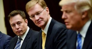 ایلان ماسک ادعاهای مربوط به دریافت سمت مشاور کاخ سفید را رد کرد