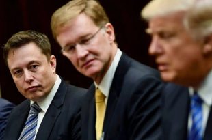 ایلان ماسک ادعاهای مربوط به دریافت سمت مشاور کاخ سفید را رد کرد