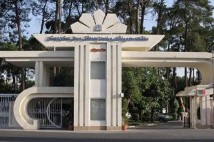 عزل سه مدیر دانشگاه علوم پزشکی؛ آیا عزل از مقام برای جزای تقصیر در مرگ پرستو کافیست؟