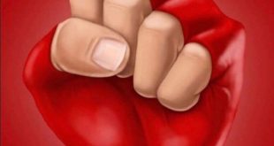 عکس| پیام سپهر حیدری در شب آخرین بازی پرسپولیس در لیگ برتر