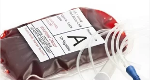 یک آنزیم باکتری روده می‌تواند دستیابی به خون همگانی را ممکن کند