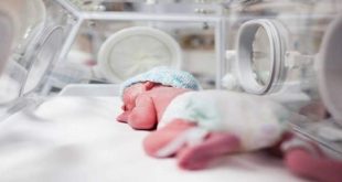 ۳۵ تا ۴۰ درصد از زوج‌‎ها با درمان ناباروری با روشهای IVF بچه‎‌دار می‌شوند