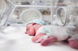 ۳۵ تا ۴۰ درصد از زوج‌‎ها با درمان ناباروری با روشهای IVF بچه‎‌دار می‌شوند