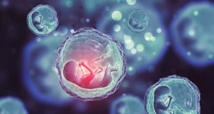 خرید و فروش آزادانه تخمک تا ۲۰ میلیون تومان!