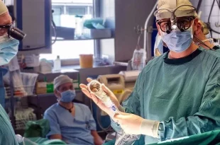 راهکار جدید دانشمندان اتریشی برای بازسازی بافت قلب: سشوار فضایی!