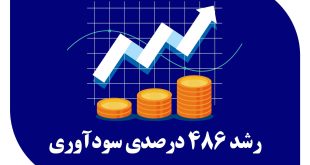 رشد 486 درصدی سودآوری در پی اصلاح ساختارهای مالی