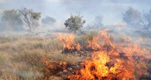 مراتع تهران در خطر آتش سوزی