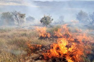 مراتع تهران در خطر آتش سوزی