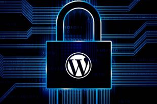 روش های امنیتی وردپرس
