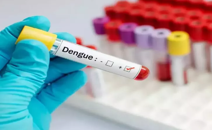 1721816444 174 درمورد پشه آئدس چه می‌دانید؟ تشخیص، علائم و درمان تب.webp