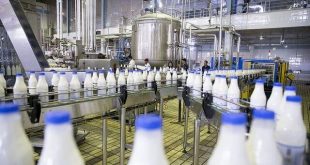 ثبت تورم نقطه به نقطه «شیر» در خردادماه ۵.۹ درصد