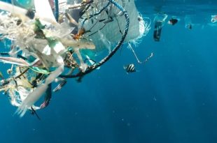 پلاستیک‌های یکبار مصرف