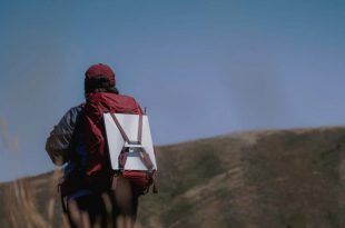 دیش قابل حمل استارلینک مینی وارد بازار آمریکا شد؛ نگاهی به قیمت و عملکرد