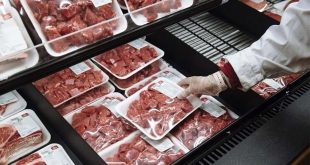 سالانه ۹۰۰ هزار تن گوشت قرمز در کشور تولید می شود