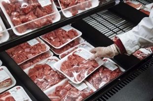 سالانه ۹۰۰ هزار تن گوشت قرمز در کشور تولید می شود