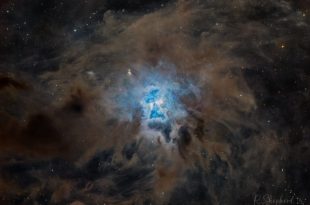 این تصویر تلسکوپی عمیق، طیف رنگ‌ها و تقارن‌های سحابی زنبق را نشان می‌دهد که در میدان‌های اطراف گرد و غبار بین ستاره‌ای جاسازی شده‌اند.