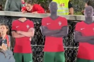 عکس| قطع سر عامل حذف رونالدو در یورو!