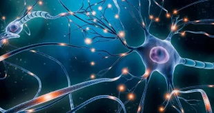 محققان عامل احتمالی اختلال بی‌اشتهایی عصبی و راه درمان آن را کشف کردند