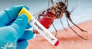 وجود پشه آئدس در ۴۰ شهر ایران