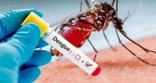 پای پشه تب دنگی تاکنون به تهران نرسیده است