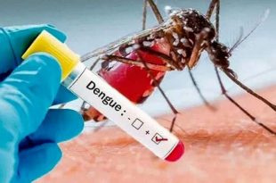 پای پشه تب دنگی تاکنون به تهران نرسیده است