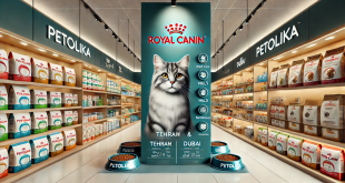 راهنمای جامع خرید غذای گربه