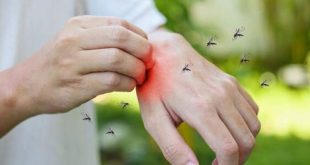 اسپری پیشگیری از گزش پشه کمیاب نیست