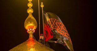 بهترین روز سال برای زیارت امام حسین(ع) چه زمانی است؟