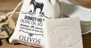 تکذیب تولید پنیرهای گران‌قیمت با شیر الاغ