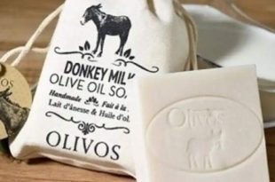 تکذیب تولید پنیرهای گران‌قیمت با شیر الاغ