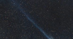 سوئیفت-تاتل