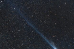 سوئیفت-تاتل