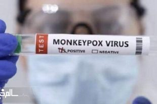 نخستین مورد ابتلا به بیماری آبله‌ میمون در پاکستان شناسایی شد
